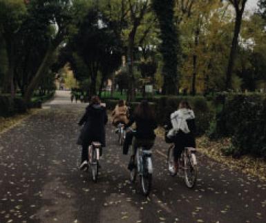 Transporter plus de 3 vélos