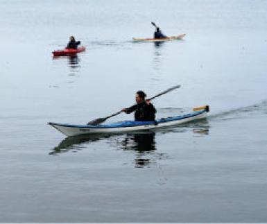 Transporter 4 canoës/kayaks