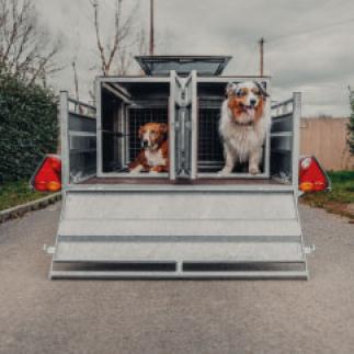Transporter 2 chiens