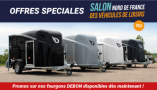 Promotions spéciales VDL 2025 – Les offres sont lancées