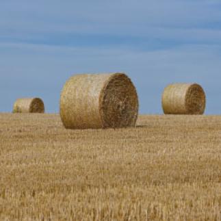 Usage agricole